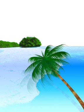 Deniz palm arka plan