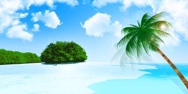 Deniz palm arka plan