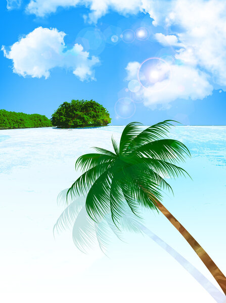 Sea palm background
