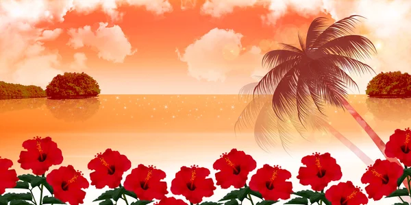 Hibiscus coucher de soleil mer — Image vectorielle