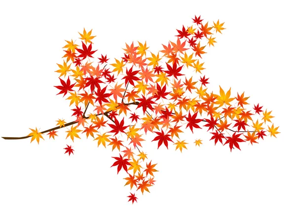 Кленовая листва — стоковый вектор