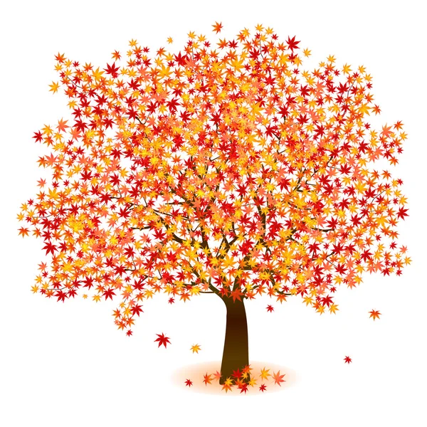 Árbol de follaje de arce — Vector de stock