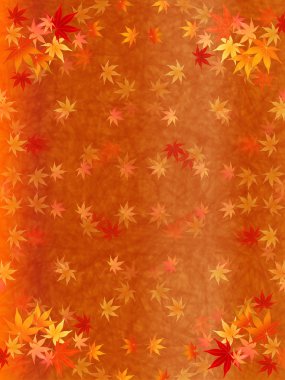 akçaağaç yaprakları arka plan