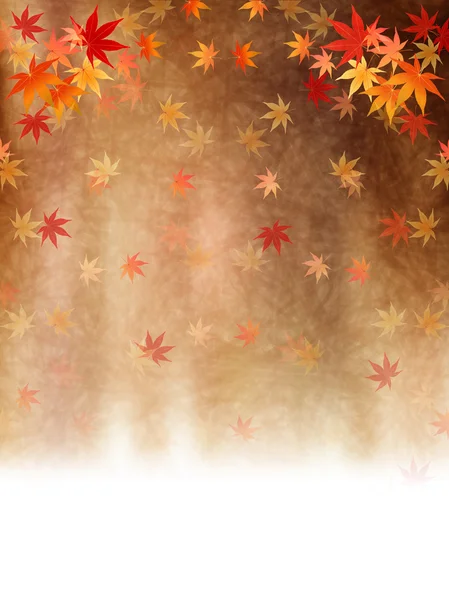 Maple foliage background — Stock Vector