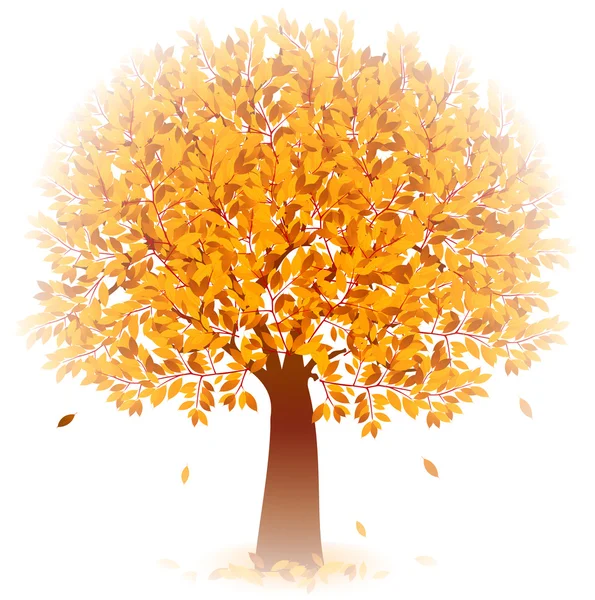 Кленовая листва — стоковый вектор