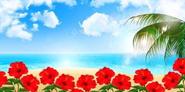 Palm hibiscus deniz