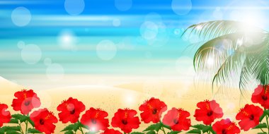 Hibiscus deniz arka plan