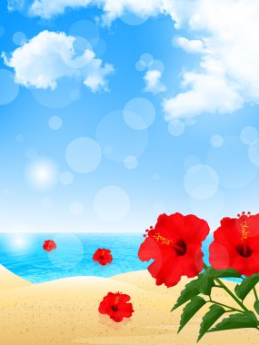 Hibiscus deniz arka plan