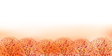 akçaağaç yaprakları arka plan