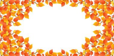 akçaağaç yeşillik çerçeve