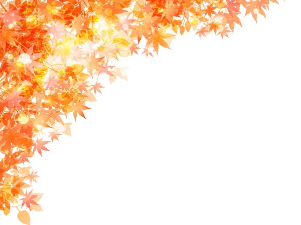Кленовий листя фону — стоковий вектор
