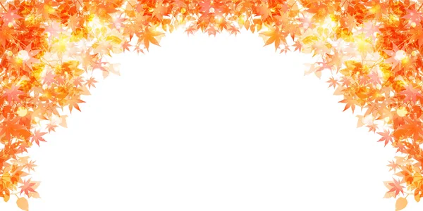 Maple foliage background — Stock Vector