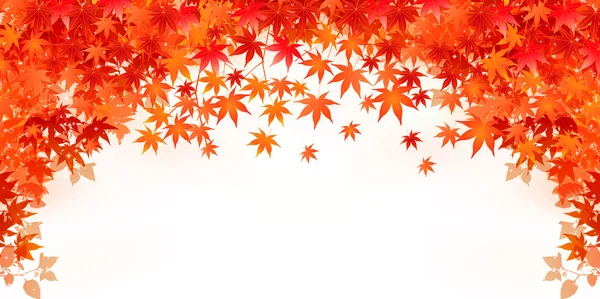 Maple foliage background — Stock Vector