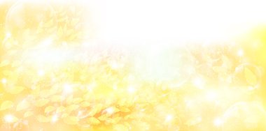 akçaağaç yaprakları arka plan