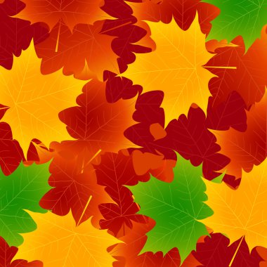 akçaağaç yaprakları arka plan