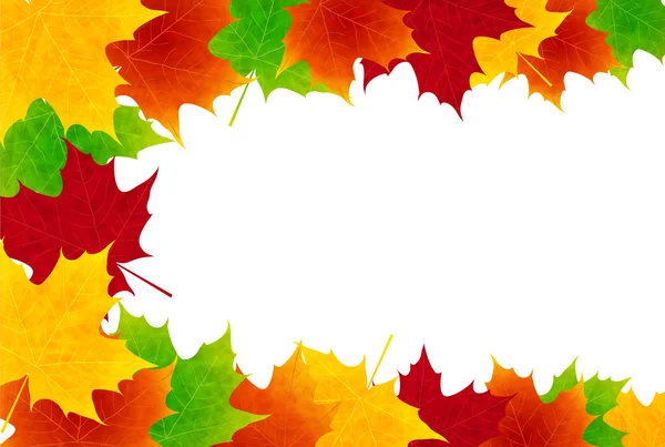 Maple foliage background — Stock Vector