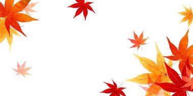 akçaağaç yaprakları arka plan