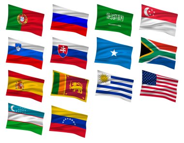 Flags flag icon