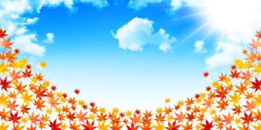 akçaağaç yaprakları arka plan