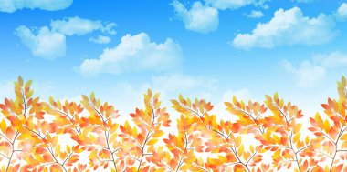 akçaağaç yaprakları arka plan