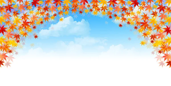 akçaağaç yaprakları arka plan