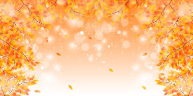 akçaağaç yaprakları arka plan