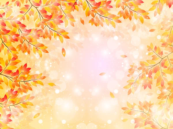 メープルの紅葉背景 — ストックベクタ