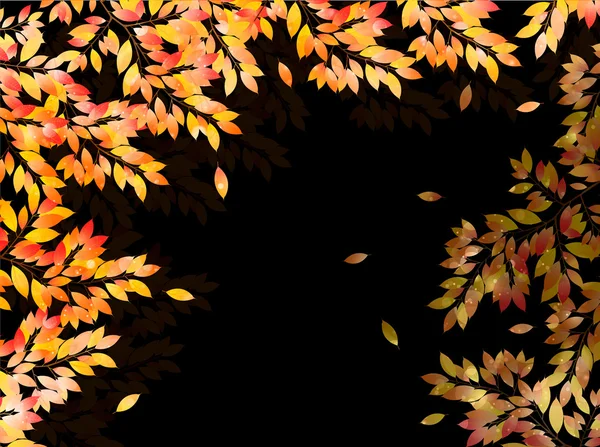 Maple foliage background — Stock Vector