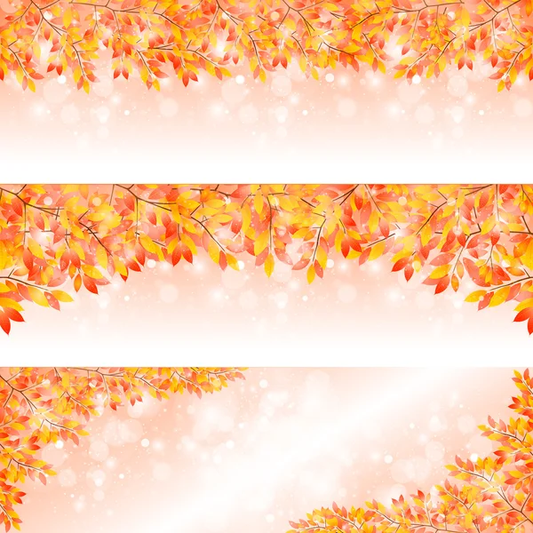 Maple bladverk bakgrund — Stock vektor