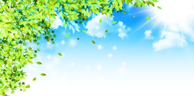 Taze yeşil yaprak arkaplanı