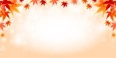 akçaağaç yaprakları arka plan