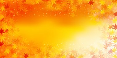 akçaağaç yaprakları arka plan