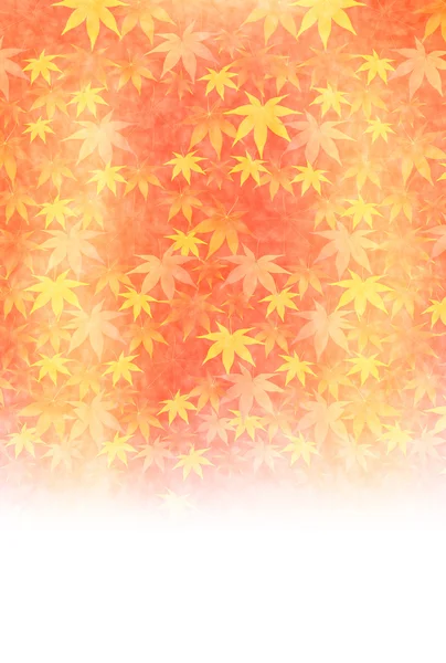 枫树叶背景 — 图库矢量图片