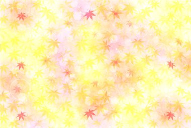 akçaağaç yaprakları arka plan