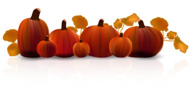 Cadılar Bayramı Balkabağı akçaağaç