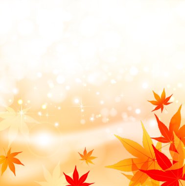 akçaağaç yaprakları arka plan