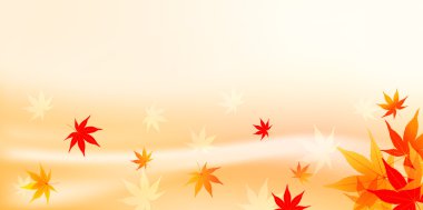 akçaağaç yaprakları arka plan