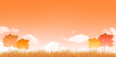 akçaağaç yaprakları arka plan