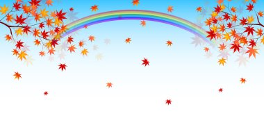 akçaağaç yaprakları arka plan