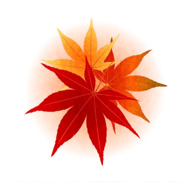 Akçaağaç yaprakları daire