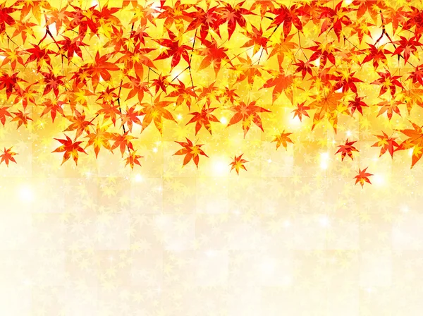 メープルの紅葉背景 — ストックベクタ