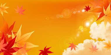 akçaağaç yaprakları arka plan