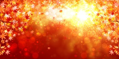 akçaağaç yaprakları arka plan