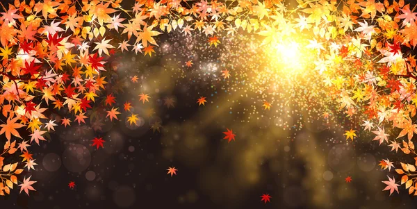 akçaağaç yaprakları arka plan