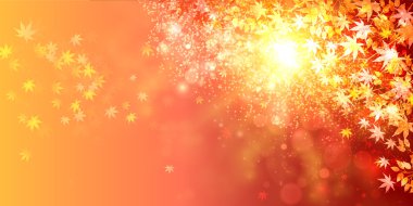 akçaağaç yaprakları arka plan