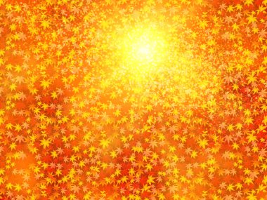 akçaağaç yaprakları arka plan