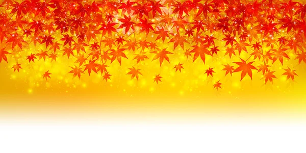 Maple autumn leaves background — Stock Vector