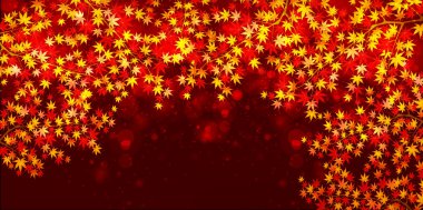 arka plan akçaağaç sonbahar yaprakları