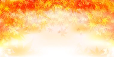 arka plan akçaağaç sonbahar yaprakları