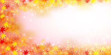 arka plan akçaağaç sonbahar yaprakları